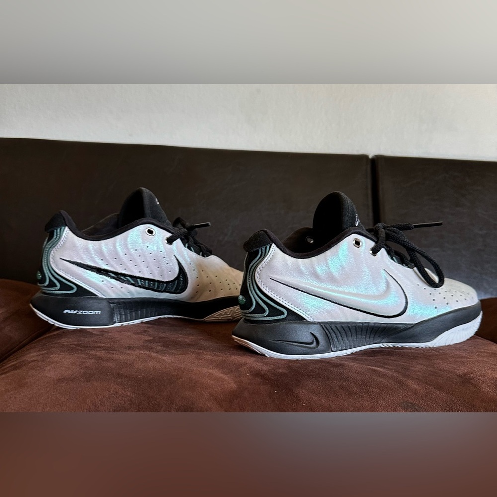 Nike Lebron XXl Basketball Shoes